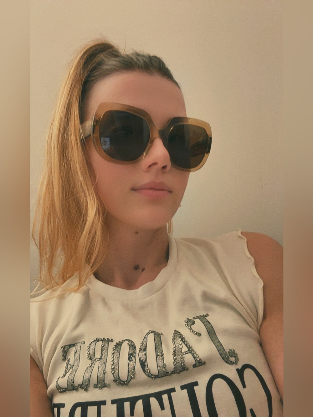 Warby Parker Translucent Taupe Frame Sunglasses with Dark Lenses